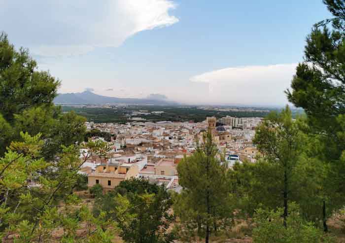 Vista de Oliva